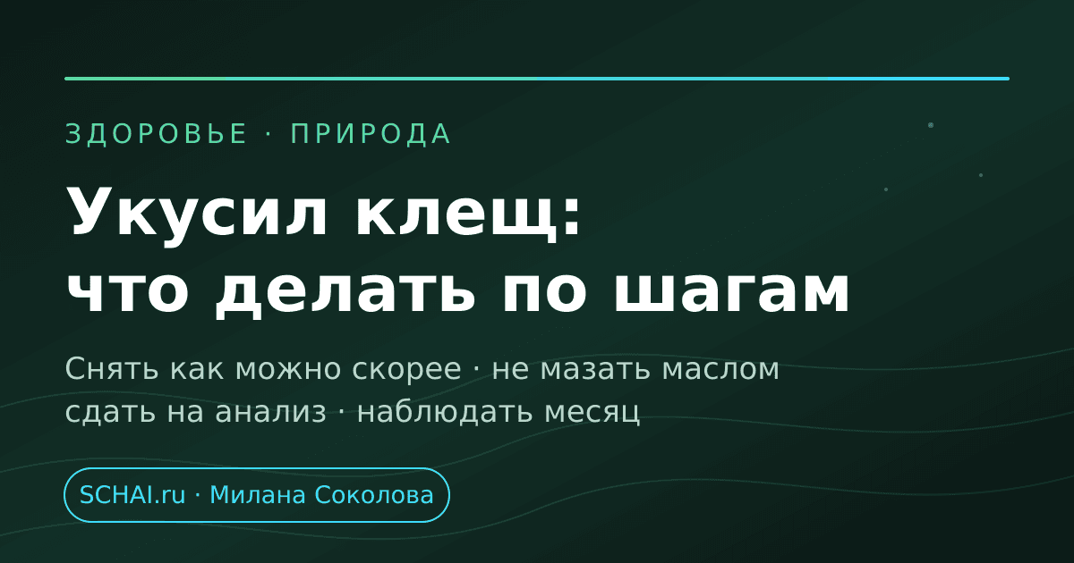 Что делать, если укусил клещ: порядок действий по шагам