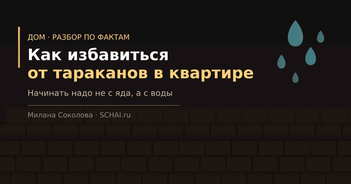 Как избавиться от тараканов в квартире: что работает, а что нет
