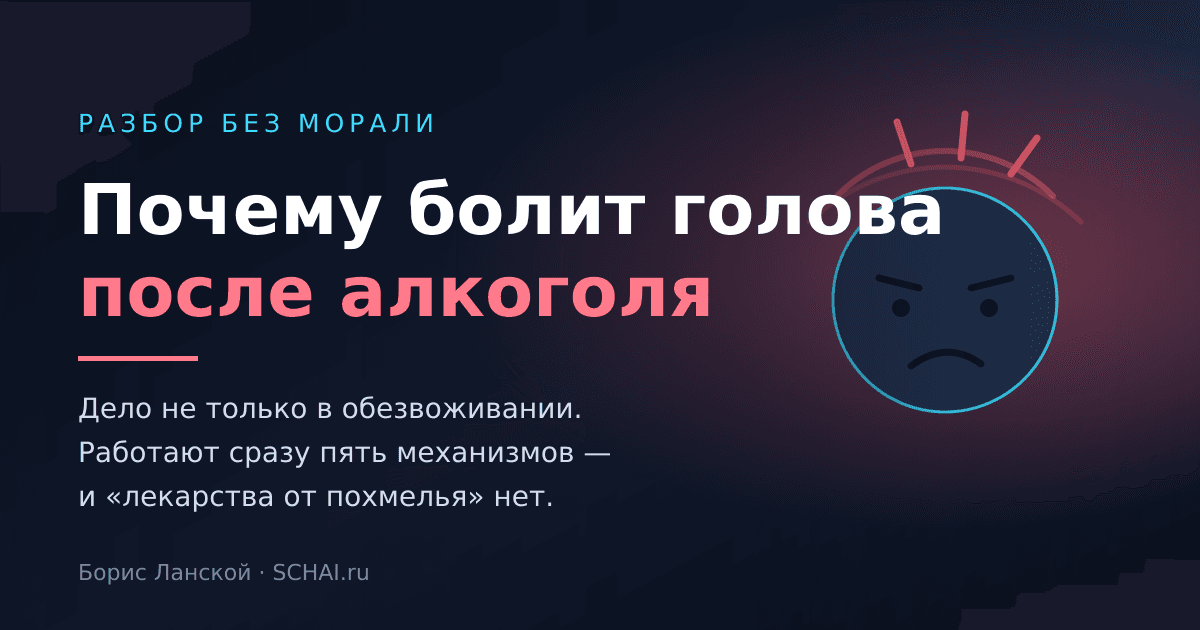 Почему болит голова после алкоголя: что происходит в организме на самом деле