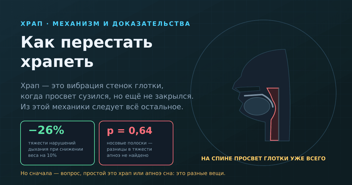 Как перестать храпеть: что работает по механизму, а что бесполезно