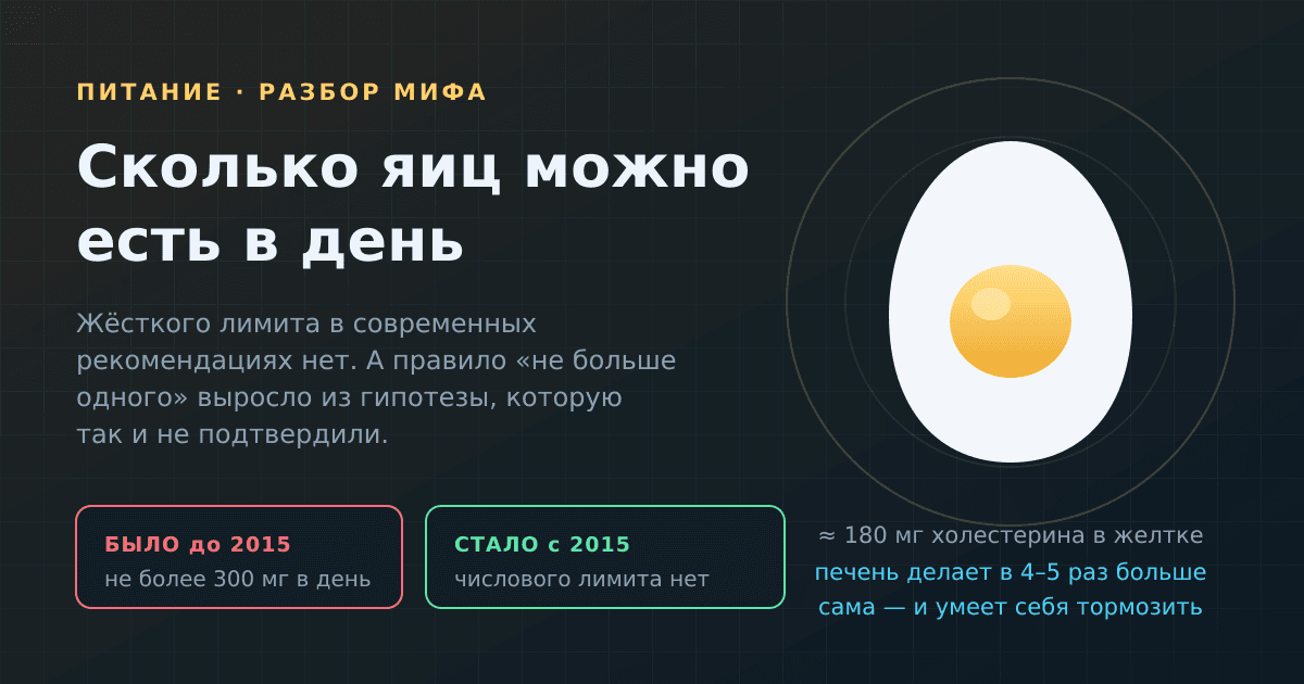 Сколько яиц можно есть в день: что сейчас известно про холестерин