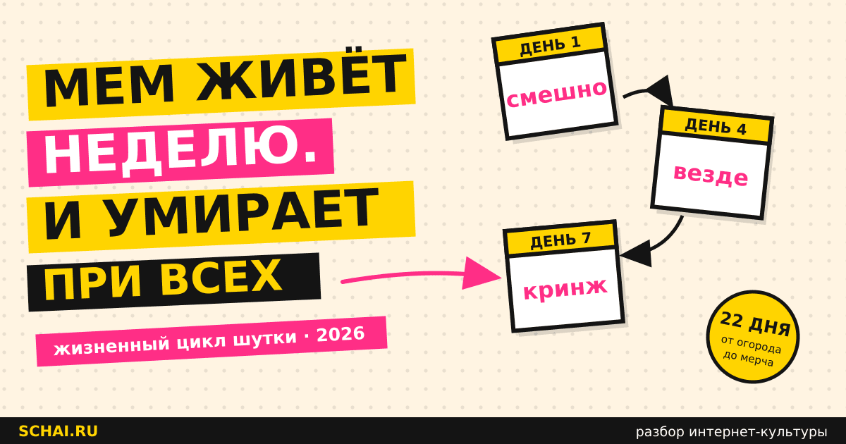 Мем живёт неделю: как устроен жизненный цикл интернет-шутки