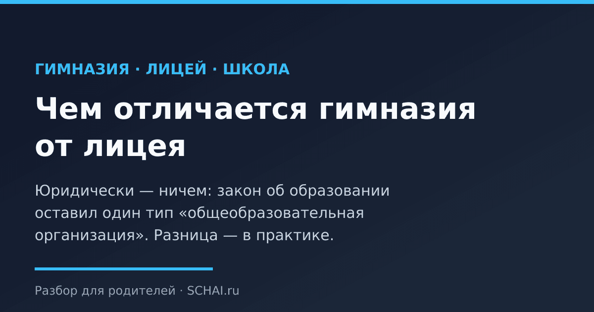 Чем отличается гимназия от лицея: честный разбор для родителей