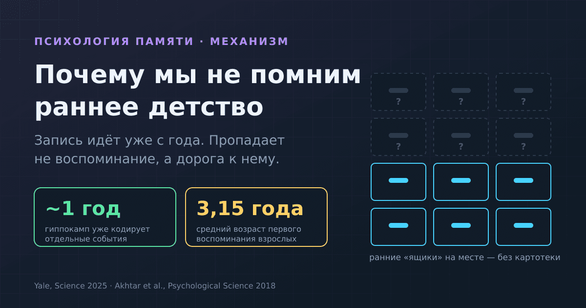 Почему мы не помним раннее детство: детская амнезия простыми словами