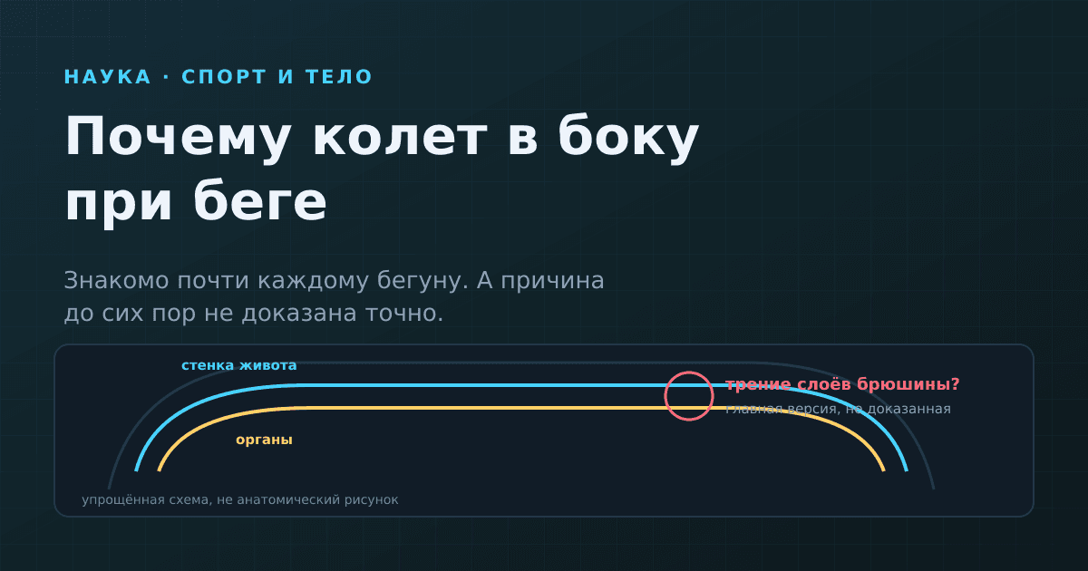 Почему колет в боку при беге: что известно о боли ETAP и что с ней делать