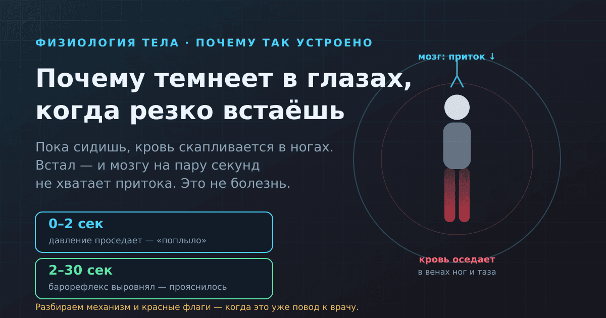 Почему кружится голова и темнеет в глазах, когда резко встаёшь