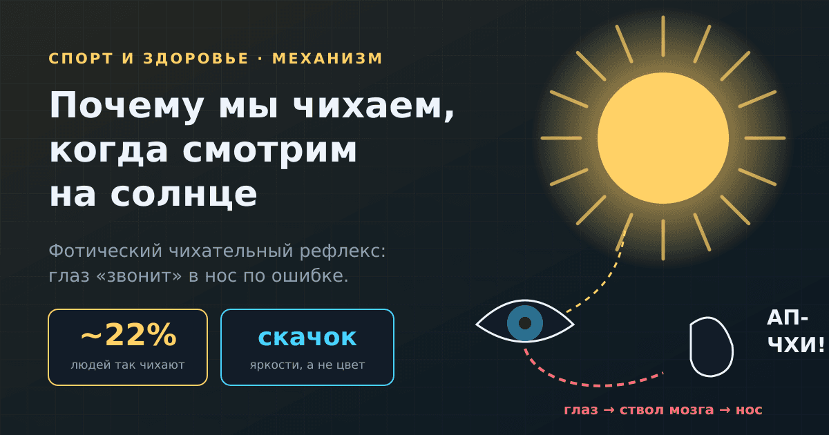 Почему мы чихаем, когда смотрим на солнце: что происходит в мозге