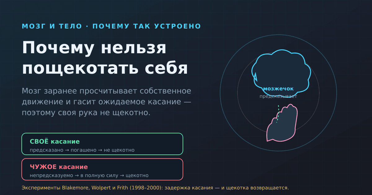 Почему невозможно пощекотать самого себя