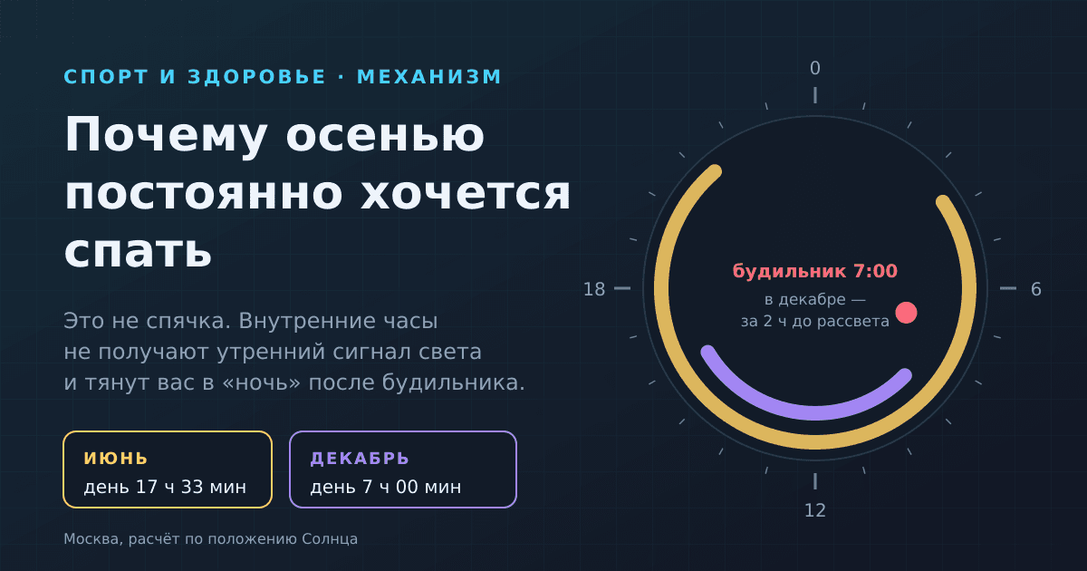 Почему осенью постоянно хочется спать: свет, мелатонин и внутренние часы