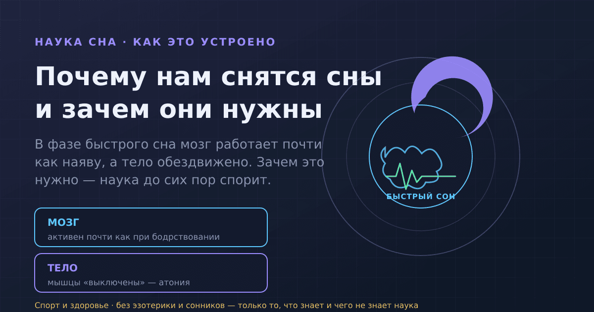 Почему нам снятся сны и зачем они нужны: что знает наука