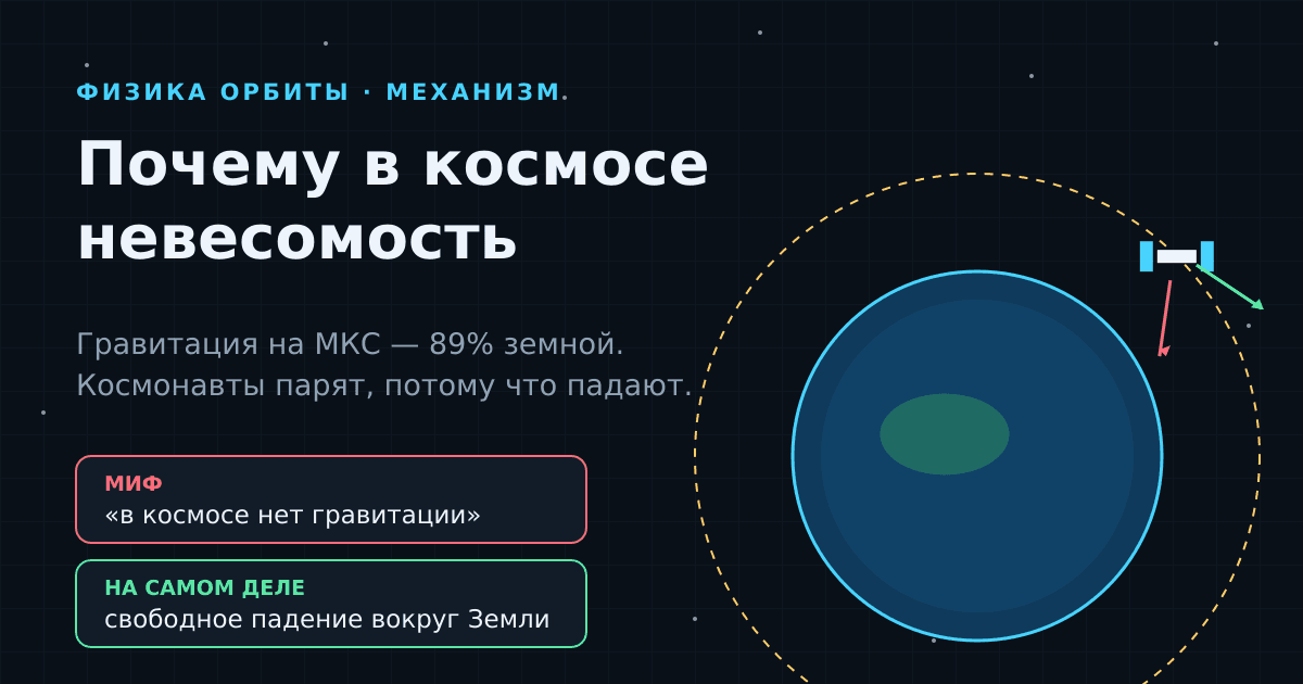 Почему в космосе невесомость, если гравитация там почти земная