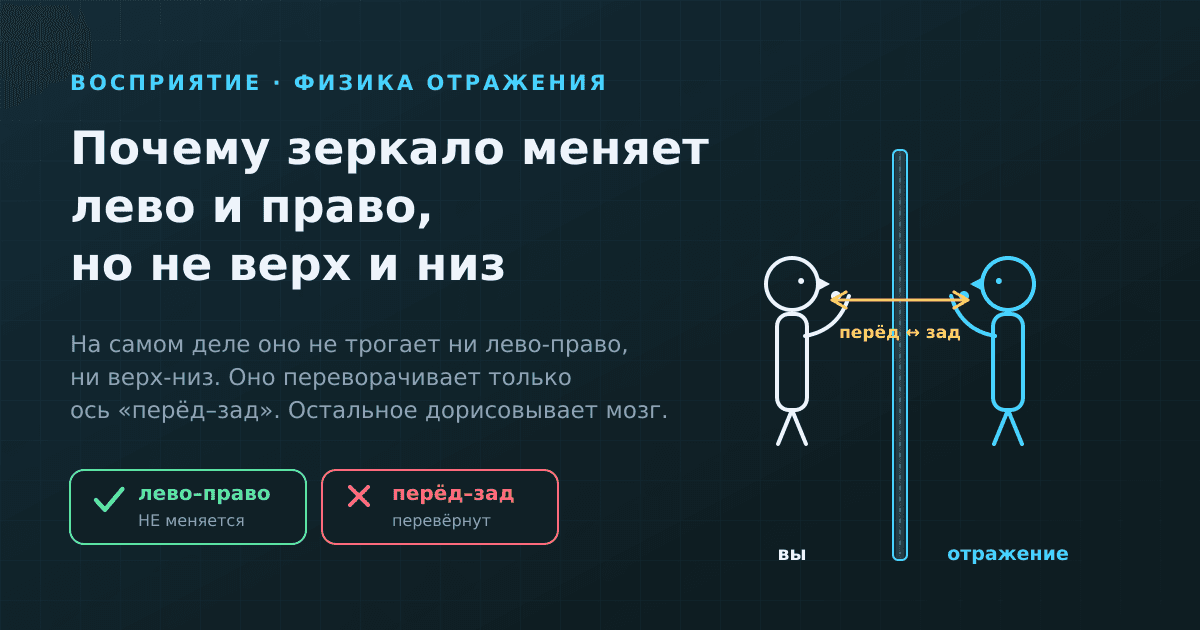 Почему зеркало меняет лево и право, но не верх и низ
