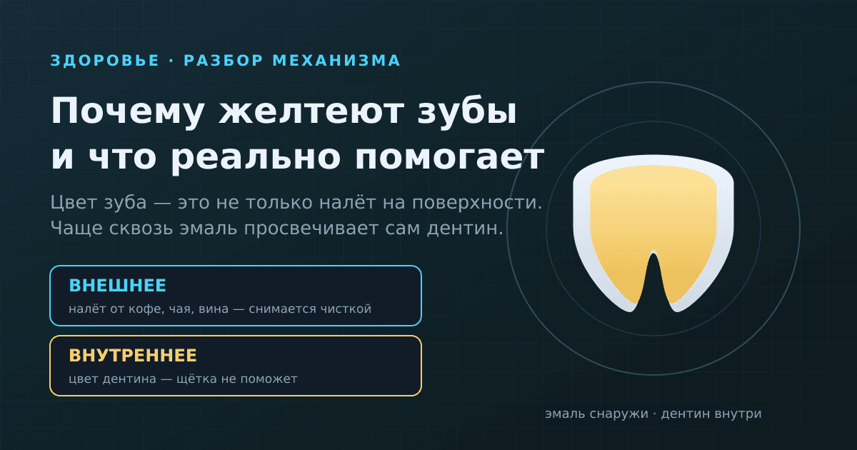 Почему желтеют зубы и что реально помогает (а что — миф)