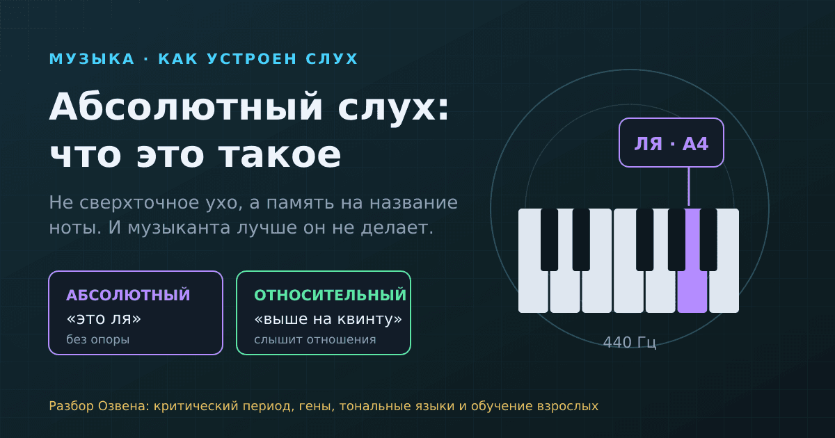 Абсолютный слух: что это простыми словами и почему он не делает музыканта лучше