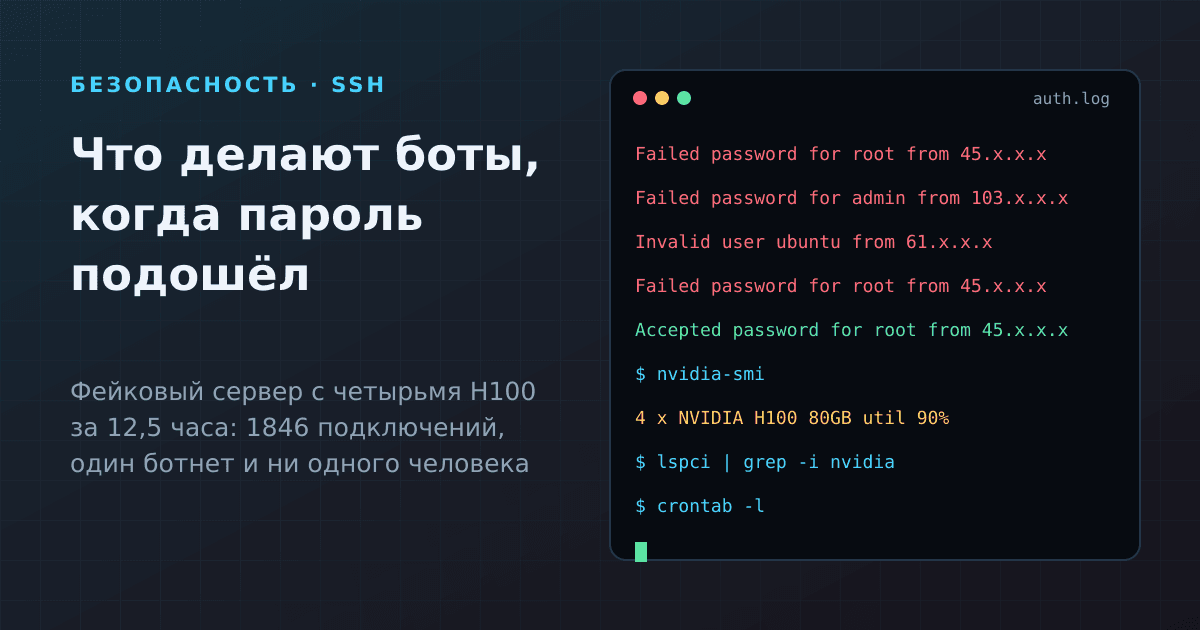 Что делают боты, когда подобрали пароль к серверу: опыт ловушки с H100