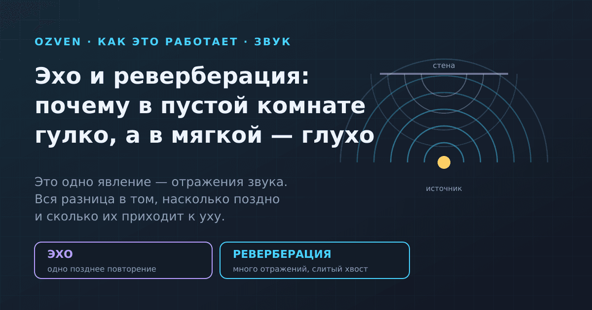 Эхо и реверберация: почему в пустой комнате гулко, а в мягкой глухо