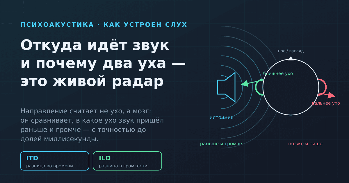 Откуда идёт звук: как два уха определяют направление