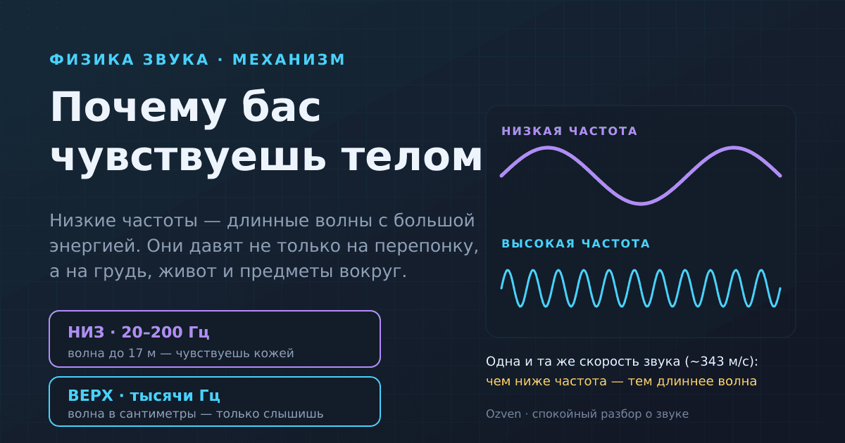 Почему бас мы чувствуем телом, а не только слышим