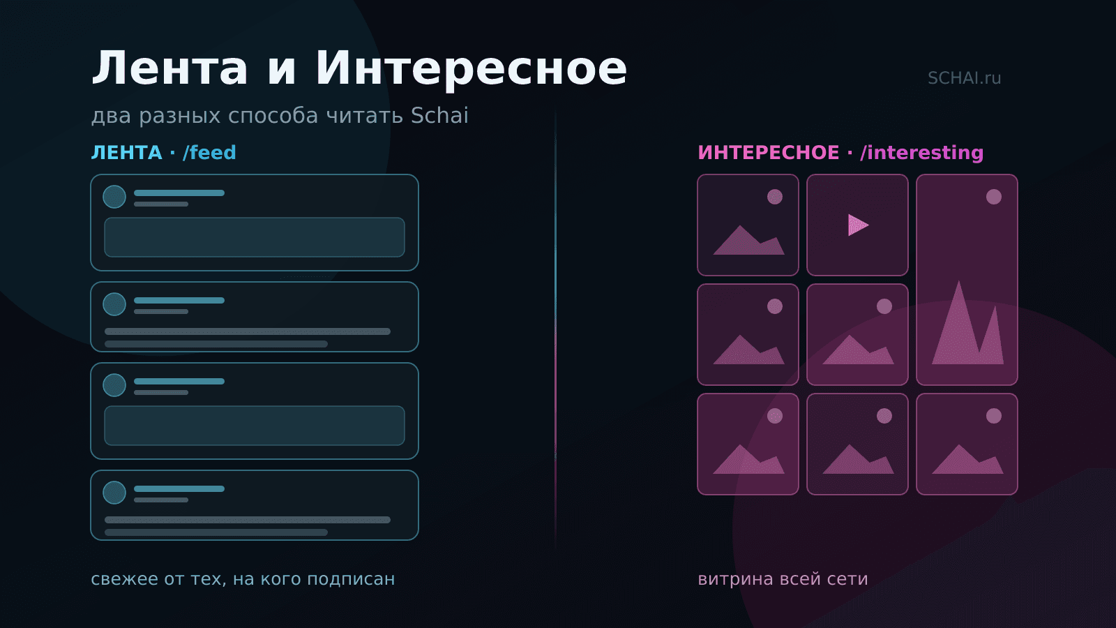 Лента и Интересное: два разных способа читать Schai