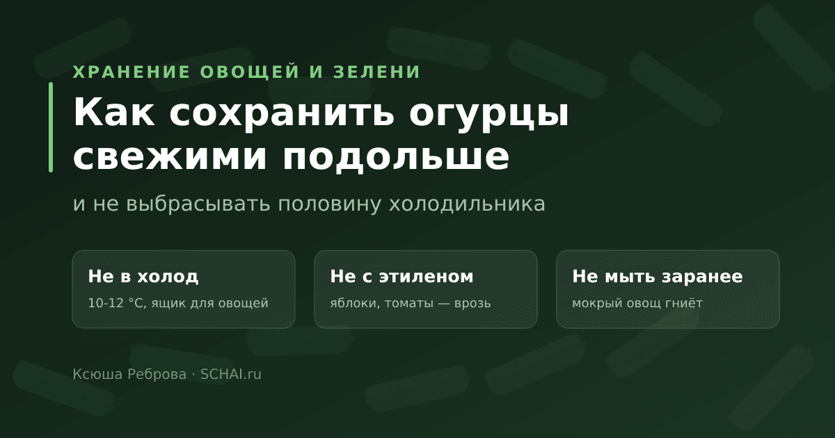 Как сохранить огурцы свежими подольше в домашних условиях — и всё остальное в холодильнике