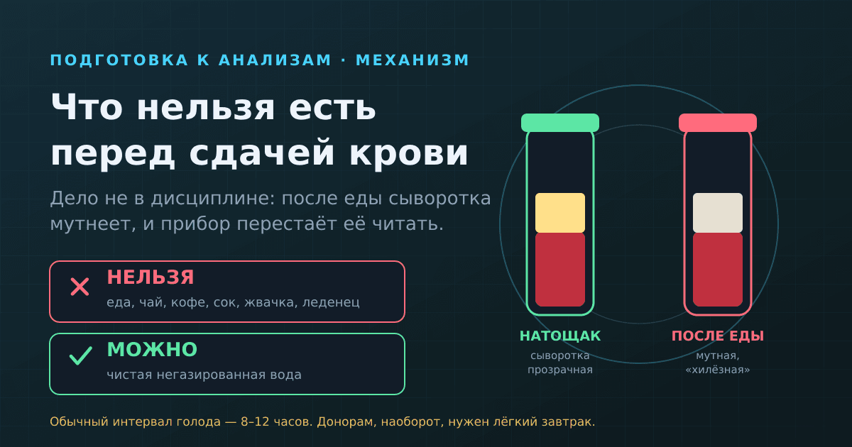 Что нельзя есть перед сдачей крови: механизм, таблица и частые ошибки